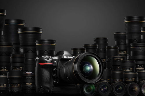 摄影设备、单反器材与软件开发 融合创新与用户体验的科技前沿